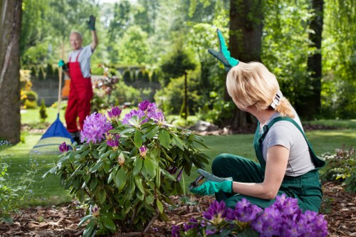 Gardening Gipsy Hill team beginning a safe gardening job