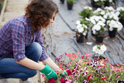 Gardener working in a small Gipsy Hill back garden
