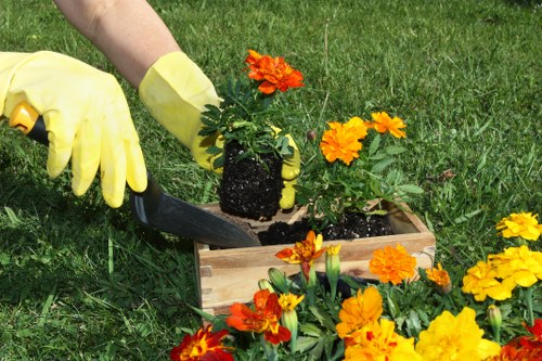Volunteer using screen reader to access gardening information