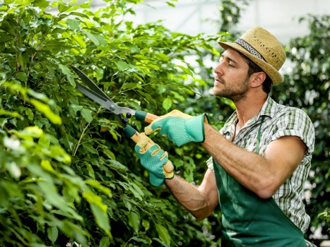 Seasonal garden care services